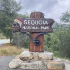 Experiencing Sequoia National Park from Under 5,000 ft. Elevation